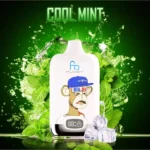 2025 Hot Sale RandM Digital Box 12000 Züge Einweg E-Zigarette - Kühle Minze Flavour, 0%, 2%, 3%, 5% Nikotin, Mesh Coil 0.8 Ohm, Beste Preise für Einzelhandel, Lieferung in 5-7 (2)