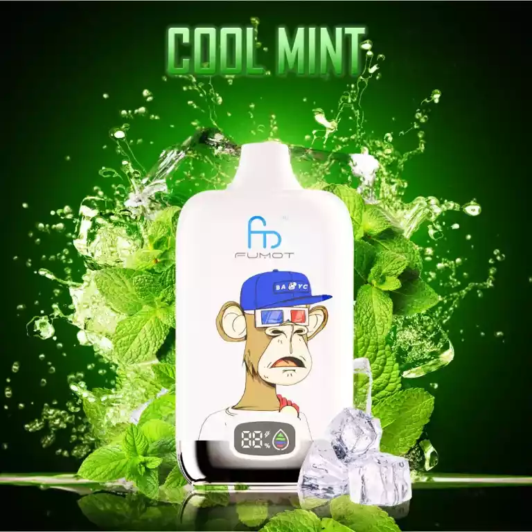 2025 Hot Sale RandM Digital Box 12000 Züge Einweg E-Zigarette - Kühle Minze Flavour, 0%, 2%, 3%, 5% Nikotin, Mesh Coil 0.8 Ohm, Beste Preise für Einzelhandel, Lieferung in 5-7 (2)