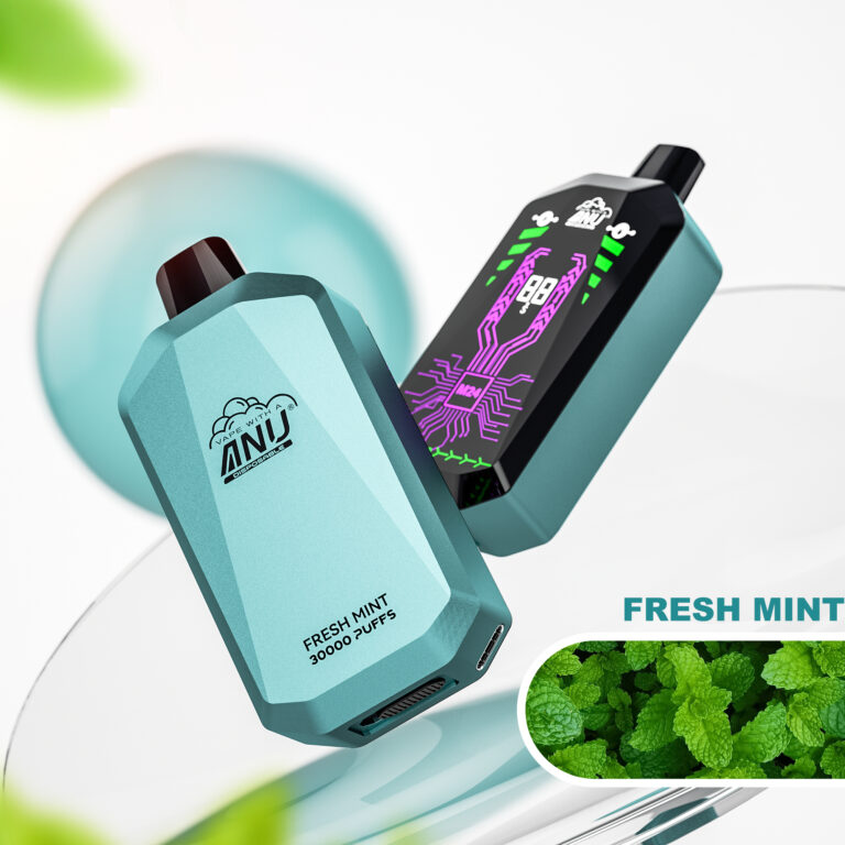 2025 Neue Produkte ANU Star 30000 Züge Einweg E-Zigarette – Frische Minze Flavours, Nikotin 0% 2% 3% 5%, Schnelle Lieferung in 5 bis 7 Tagen! (2)
