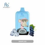 2025 Neuheit RandM Digital Box 12000 Züge Einweg E-Zigarette – Traube Eis Geschmack, 0%-5% Nikotingehalt, Lieferung in 5 bis 7 Tagen zum besten Preis in Europa!