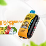 2025 Top-Seller ANU Vista 30000 Züge Einweg E-Zigarette Erdbeere Kiwi Eis Flavours, 0%-5% Nikotin, 22 ml E-Liquid, Lieferung in 5 bis 7 Tagen