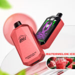 ANU Star 30000 Züge Einweg E-Zigarette – Wassermelone Eis Flavours, 22 ml E-Liquid, 0 % 2 % 3 % 5 % Nikotingehalt, Lieferung in 5 bis 7 Tagen, Top 2025 Bestseller
