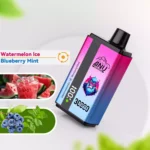 Best Choice 2025 ANU 30000 Züge Doppelter Geschmack Einweg E-Zigarette – Schnelle Lieferung in 5-7 Tagen, Frisches Wassermeloneneis und Blaubeer-Minz-Geschmack(2)