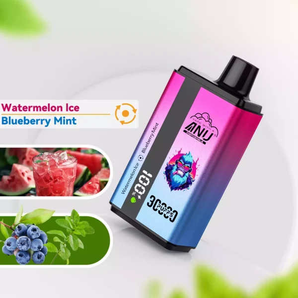 Best Choice 2025 ANU 30000 Züge Doppelter Geschmack Einweg E-Zigarette – Schnelle Lieferung in 5-7 Tagen, Frisches Wassermeloneneis und Blaubeer-Minz-Geschmack(2)