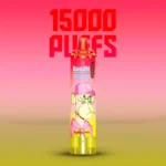 RandM Tornado 15000 Züge Einweg E-Zigarette Mango auf Eis – 2025 Bestseller mit 0% 2% 3% 5% Nikotinsalz, 10 Stück Displaybox, Lieferung in 5 bis 7 Tagen zum besten Preis (1) (3)