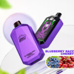 Top-Deal 2025 ANU Star 30000 Züge Einweg E-Zigarette – Fruchtiger Blaubeere Razz Kirsche Geschmack, 22 ml E-Liquid, Günstigster Preis, Lieferung in 5–7 Tagen!