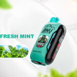 Top-Seller 2025 ANU Vista 30000 Züge Einweg E-Zigarette Frische Minze – 0%-5% Nikotin, Typ-C, 650 mAh Lieferung in 5-7 Tagen zum besten Preis