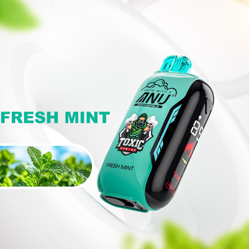 Top-Seller 2025 ANU Vista 30000 Züge Einweg E-Zigarette Frische Minze – 0%-5% Nikotin, Typ-C, 650 mAh Lieferung in 5-7 Tagen zum besten Preis